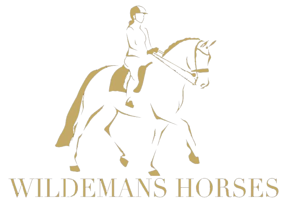 Wildemans Horses